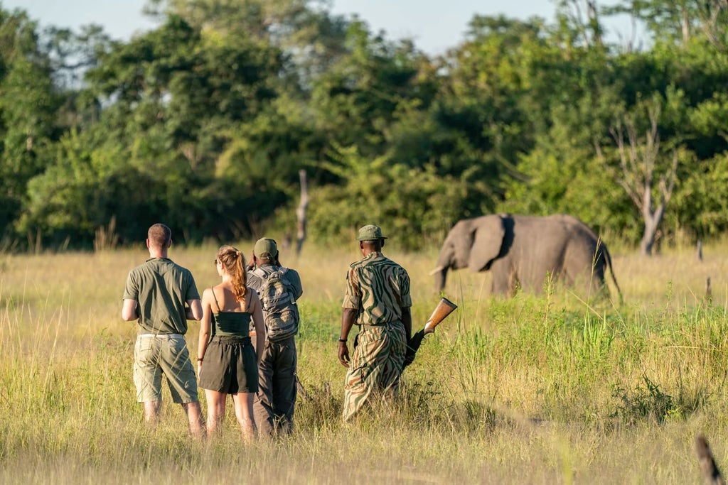 Luxurious safari lodge nestled in lush Zambian wilderness, with canvas tents overlooking the serene river and surrounding verdant landscape at sunset