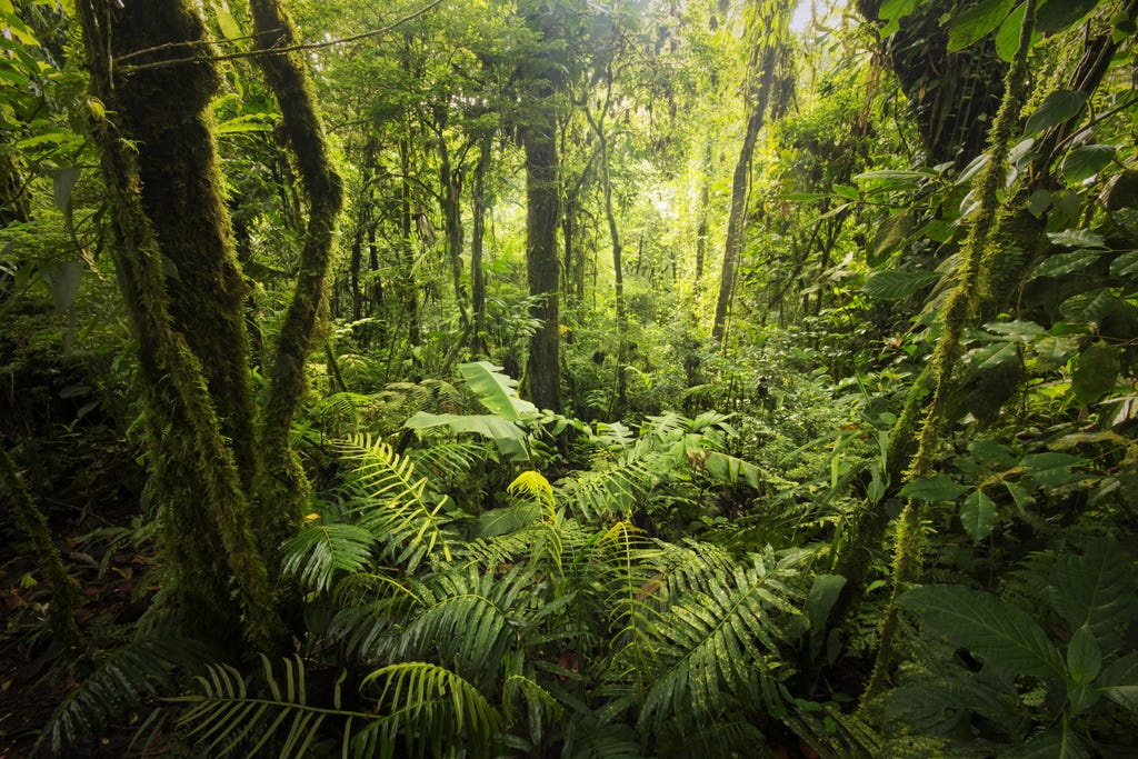 An Epic Coast-to-Coast Hike in Costa Rica