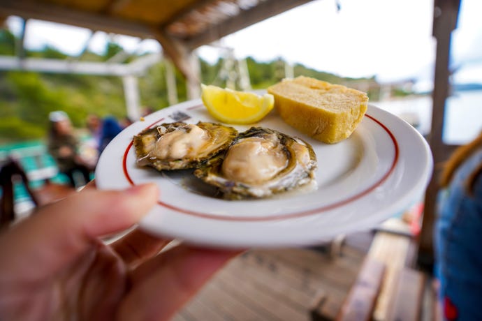 Spring is oyster season in Ston, Croatia