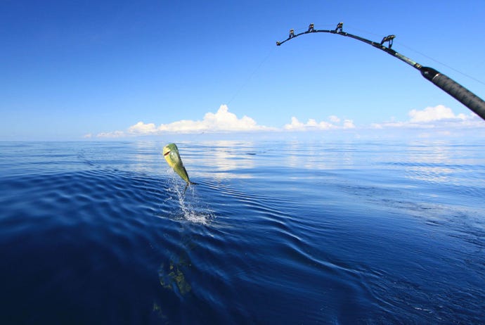 Deep sea fishing in Bora Bora
