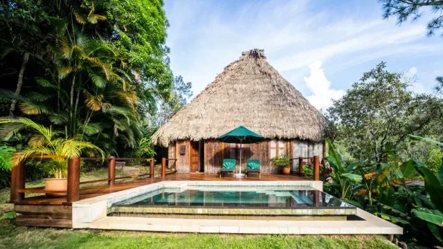 Luxurious wooden cabin nestled in lush Argentine forest, featuring elegant rustic decor, large windows, and inviting king-sized bed with natural light