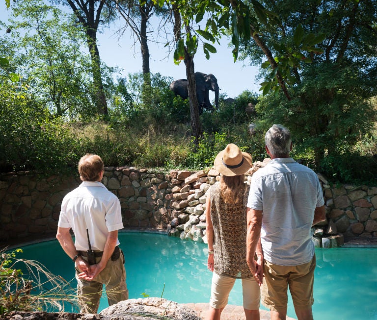 Luxurious safari lodge with thatched roof overlooking private deck, plunge pool and African bushveld under golden afternoon light