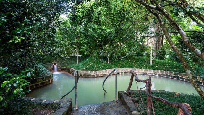 Plunge into the hot pools surrounded by lush greenery