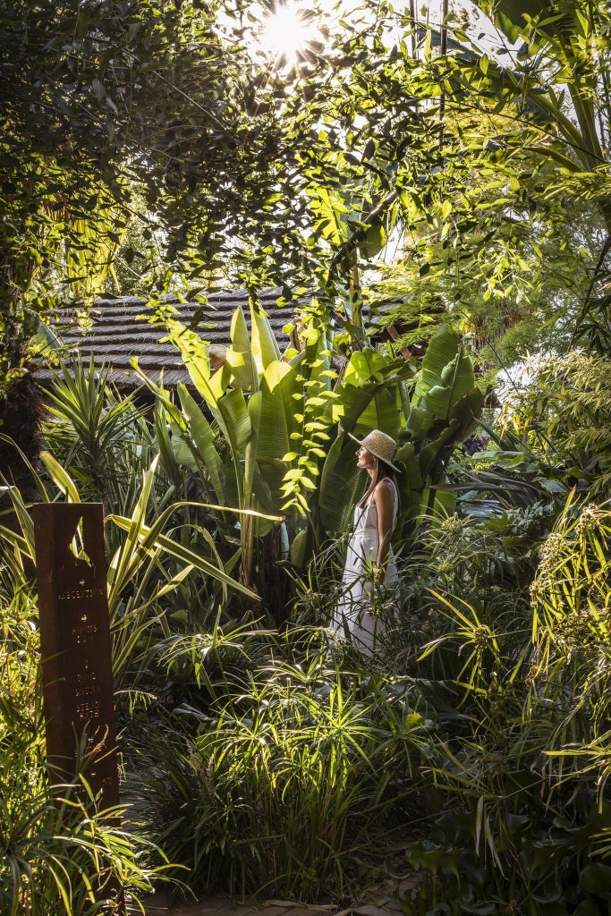 Luxurious Portuguese countryside hotel with stone exterior, lush gardens, and elegant spa, nestled among rolling green hills and traditional architecture.