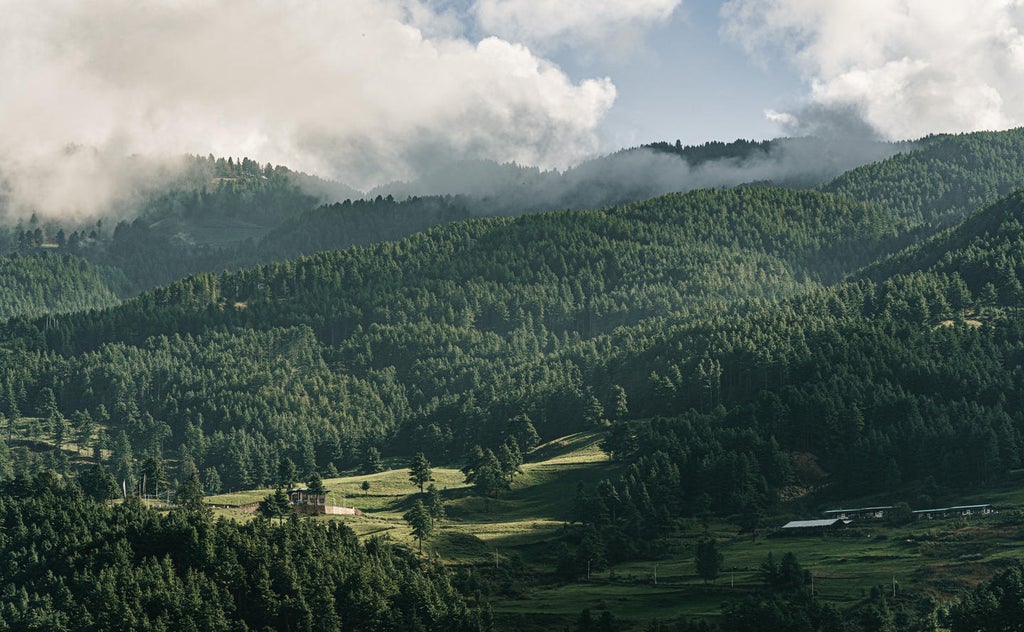 Modern luxury lodge nestled in Bhutanese forest, featuring stone walls, timber beams and floor-to-ceiling windows with mountain views