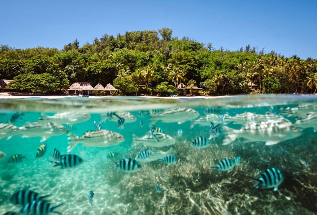 Pristine white sandy beach with turquoise waters, luxurious thatched-roof bungalows, and lush tropical vegetation on an exclusive Fijian resort island