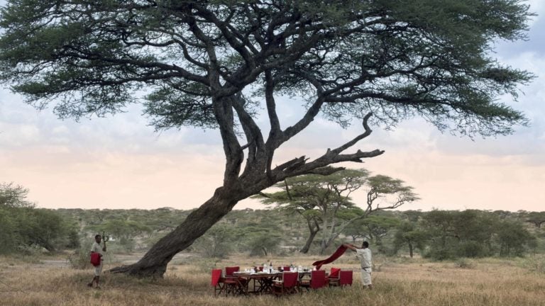 Luxury safari tent with canvas canopy nestled in tall grasslands of Serengeti, featuring elegant outdoor furniture at sunset