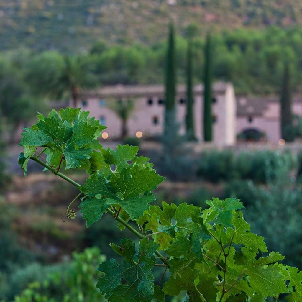 Luxurious stone winery hotel nestled in scenic Spanish countryside, with rustic architectural details and rolling vineyard landscapes at sunset.