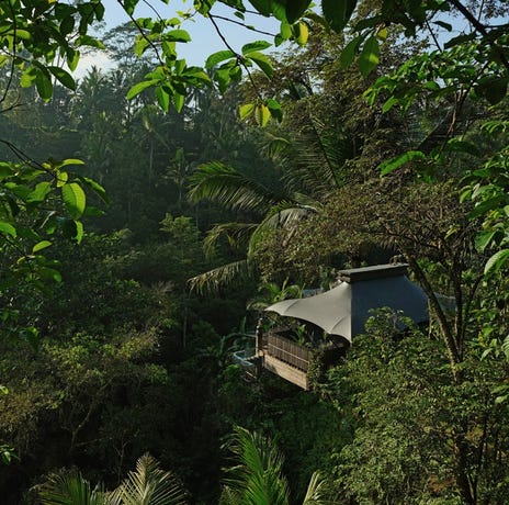 The best views of Bali come from the treetops 