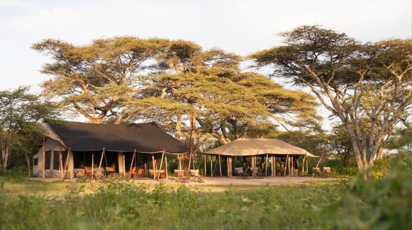 Nyasi Migrational Camp in the Northern Serengeti
