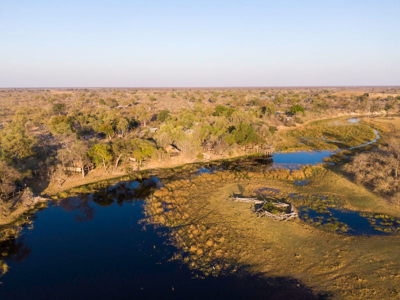 Elevated luxury safari tent overlooking Savuti grasslands, with private deck, canvas walls and thatched roof in golden sunlight