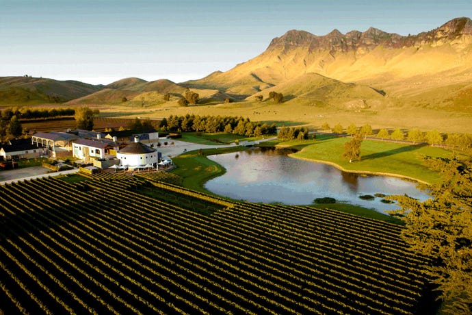 The wineries of Hawke's Bay
