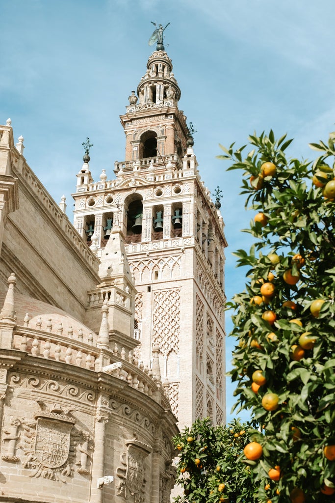 Gothic cathedral with ornate golden details, intricate stone facade, and panoramic rooftop view overlooking Seville's historic skyline under golden afternoon sunlight