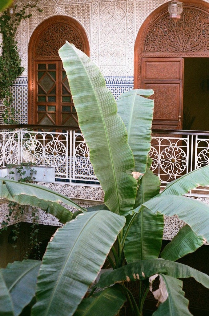 Luxurious Moroccan riad courtyard with pink walls, lush potted plants, traditional archways and intimate seating areas under palm trees