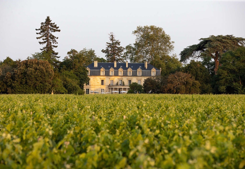 Elegant French château-style hotel nestled in vineyard landscape, golden sunlight illuminating stone facade, manicured gardens framing luxurious architectural details