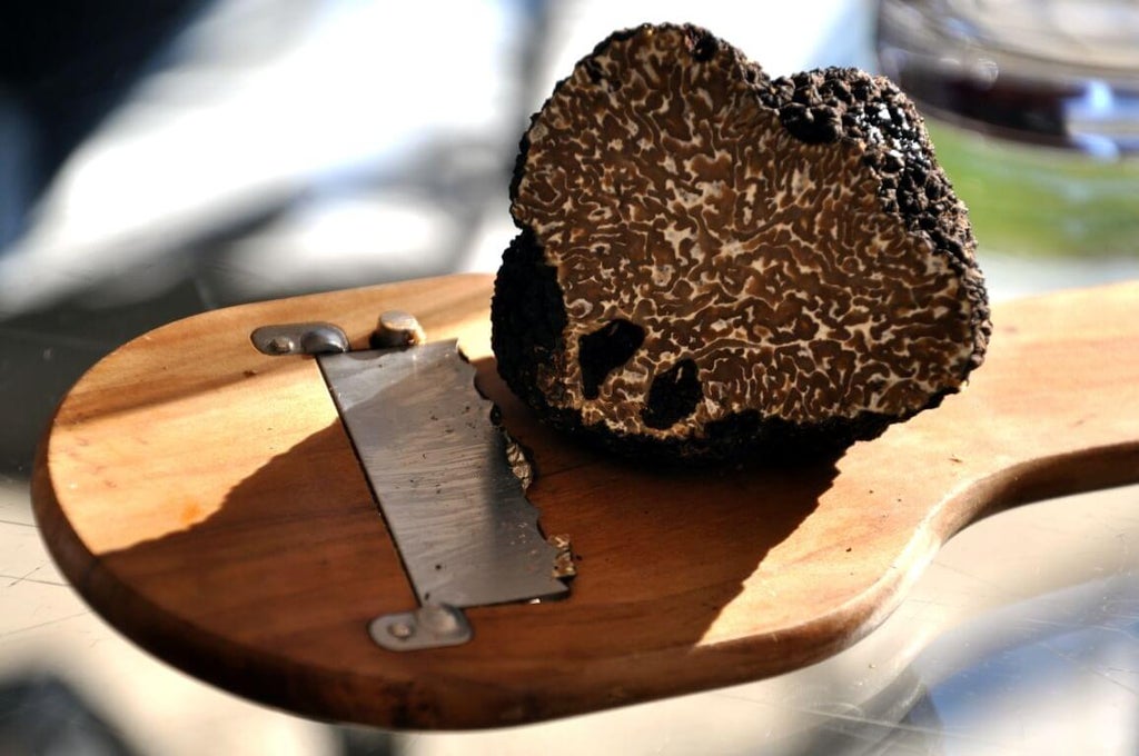 Two truffle hunters and their trained dog search through a serene, scenic vineyard in Tuscany's Chianti hills at golden hour