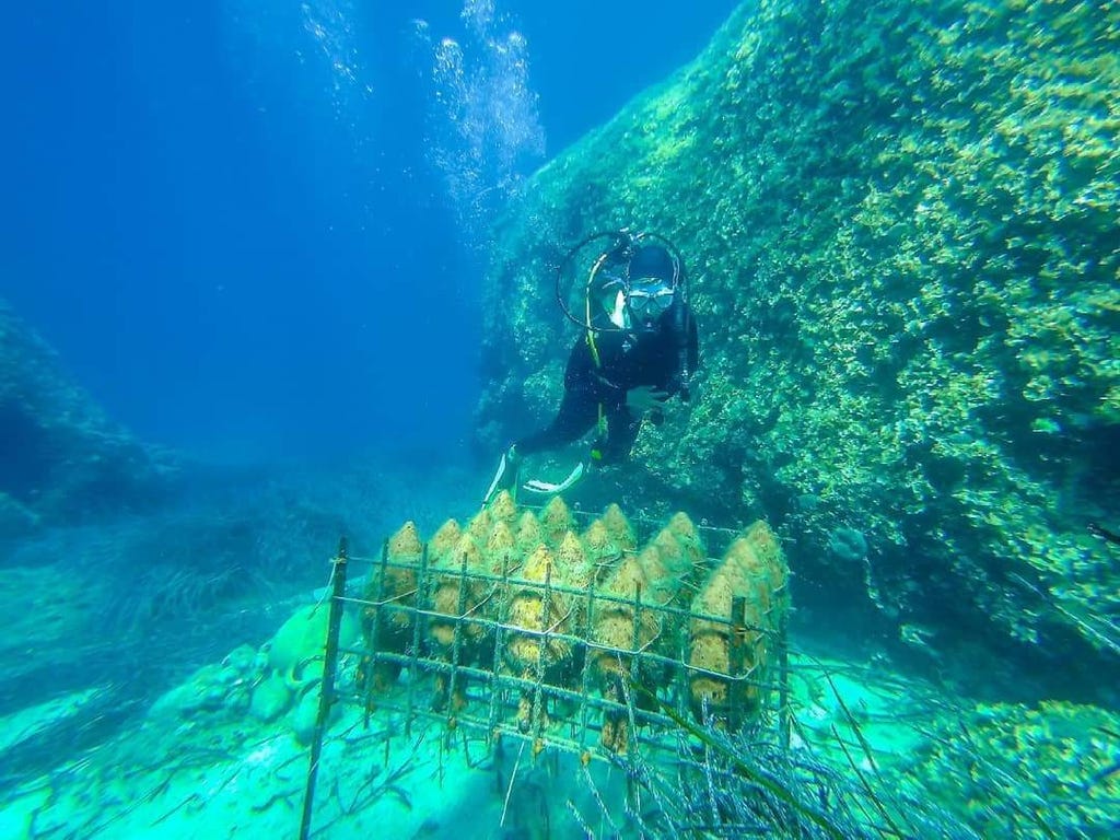 Dive Into Your Next Adventure and Visit an Underwater Winery in Croatia