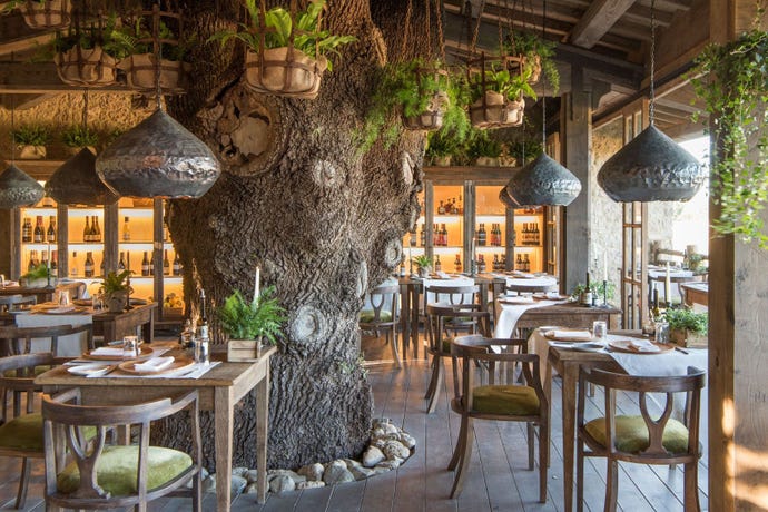 Trattoria sull’Albero
