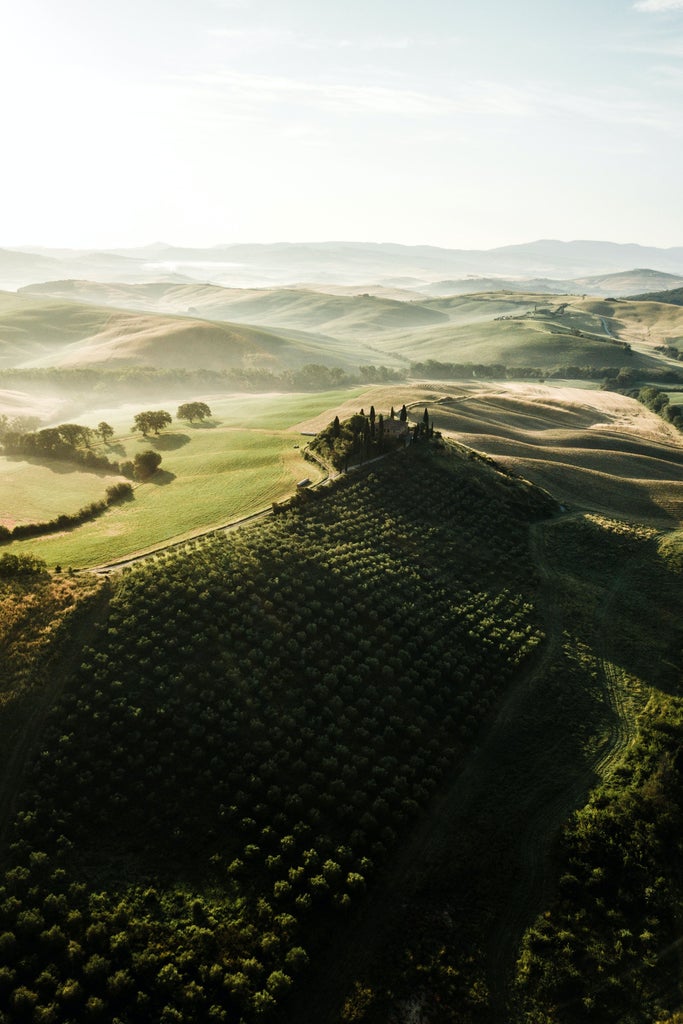 Rolling vineyards of Champagne with elegant wine estates, golden sunlight illuminating rows of grapevines and traditional French countryside architecture