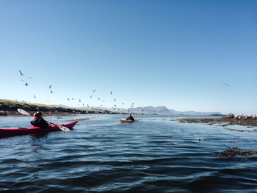 Sea kayakers paddle past dramatic volcanic cliffs in crystal-clear waters near Stykkisholmur, Iceland, with snow-capped peaks ahead