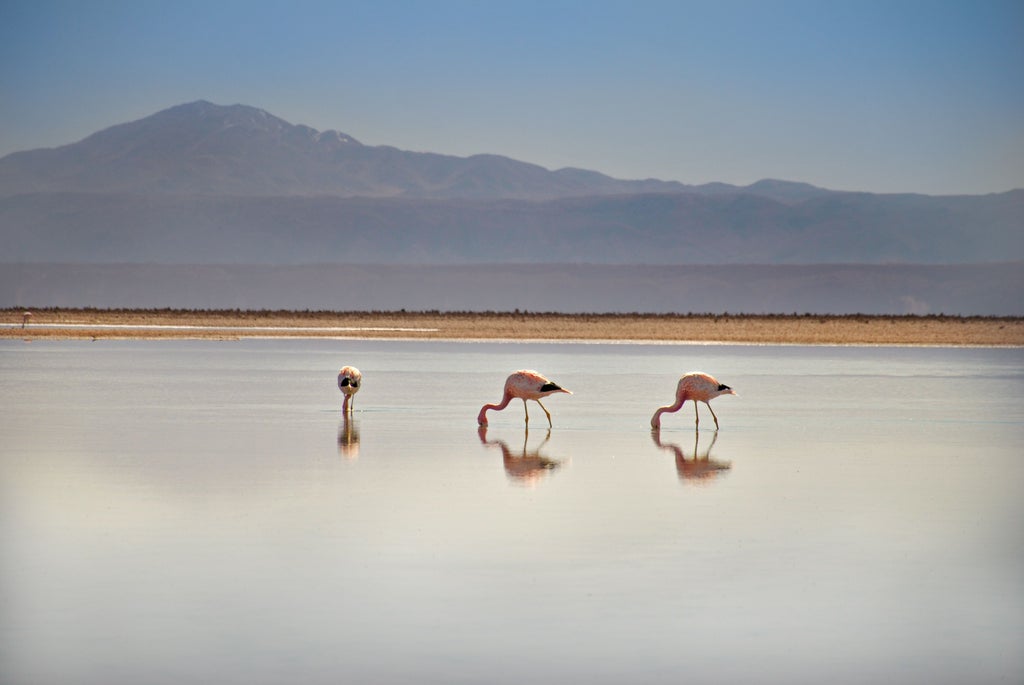 Rugged red mountains and sand dunes of Chile's Atacama Desert at sunset, vast landscape dotted with upscale eco-lodges beneath cloud-free skies