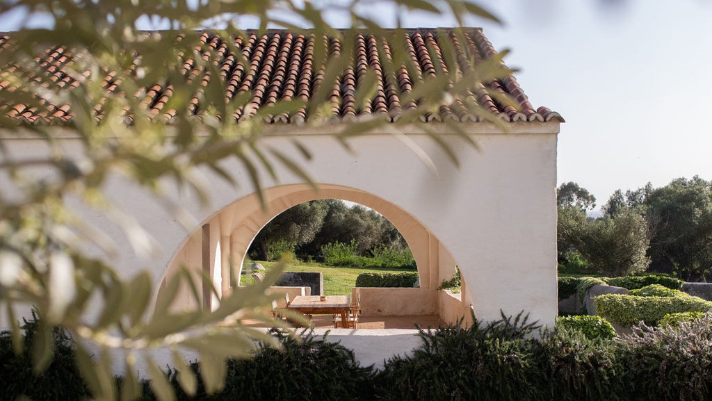 Whitewashed Mediterranean villa with rustic stone walls nestled among ancient olive trees at sunset, showcasing elegant countryside luxury