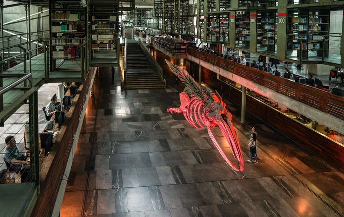 Gabriel Orozco's Ballena, or whale, is prominently located at the centre of Biblioteca Vasconcelos