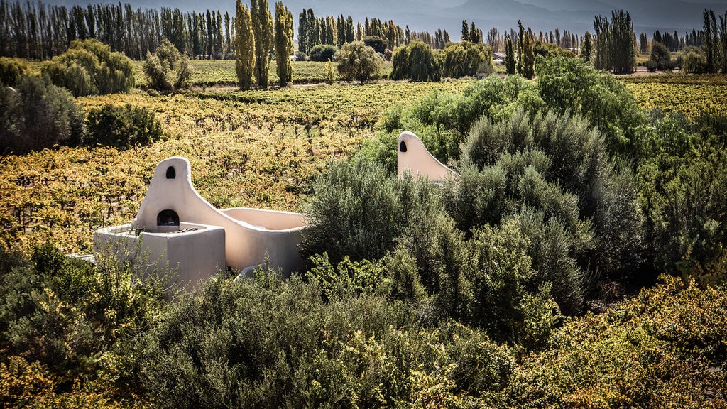 Elegant stone-built luxury lodge nestled among vineyards with snow-capped Andes Mountains in background at golden sunset hour