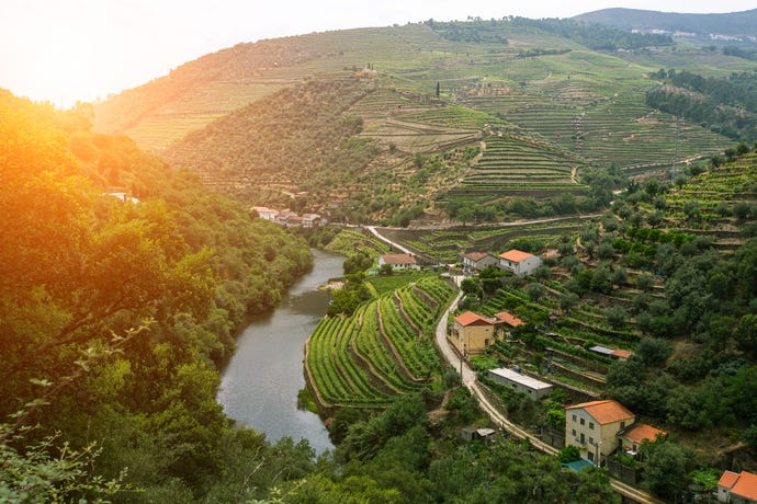 Scenes of the Douro Valley
