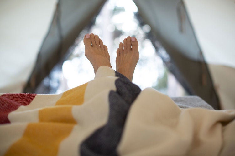 Luxurious safari-style tent nestled among towering redwoods at Mendocino Grove, featuring a private deck and modern glamping amenities