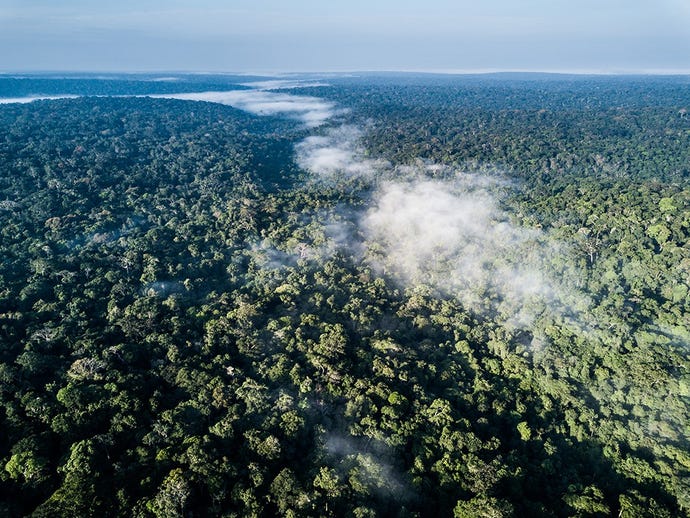 High above the rainforests of the Ndzehi Concession