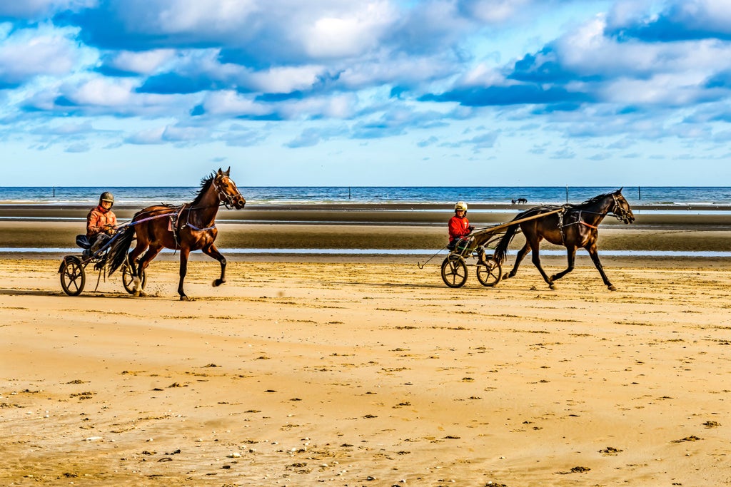 Two guests in a traditional horse-drawn sulky cart gliding along pristine sandy beach at sunset, with waves gently lapping nearby