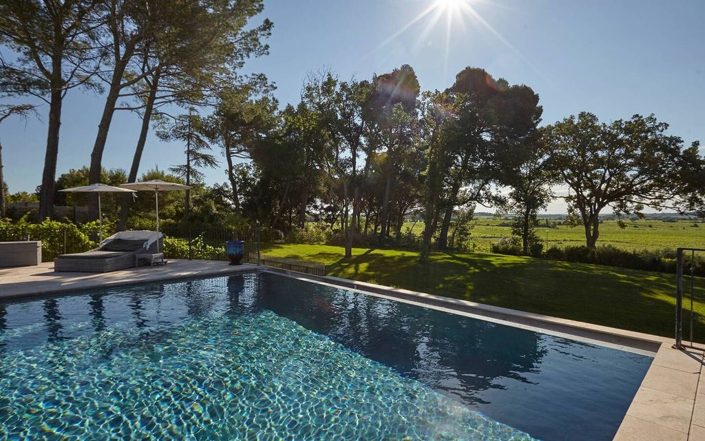 Elegant French countryside château with stone facade, manicured vineyards, and sun-drenched landscape near Languedoc wine region in southern France