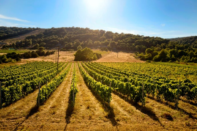 Local Pošip, Grk and Rukatac grape varieties make for Mediterranean sunshine in a bottle