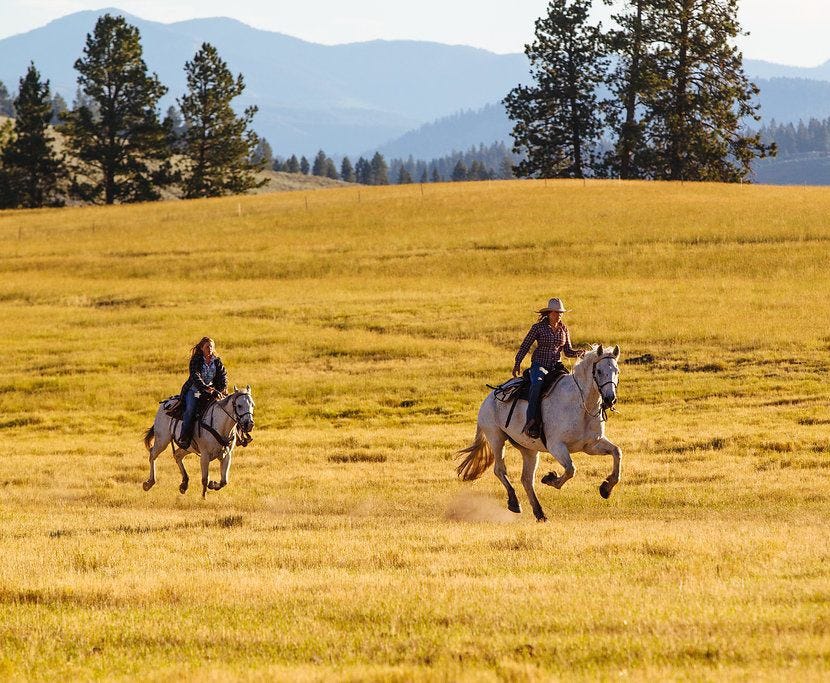 Experience the Wild West in Montana