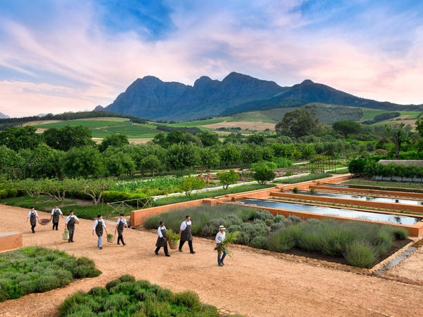 The farmland around Babylonstoren in Franschhoek
