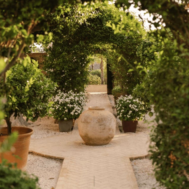 Elegant boutique hotel in rural Spain with whitewashed walls, rustic wooden beams, and a serene courtyard filled with olive trees