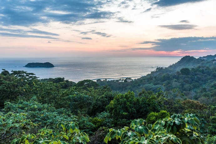 The lush jungle around Nosara