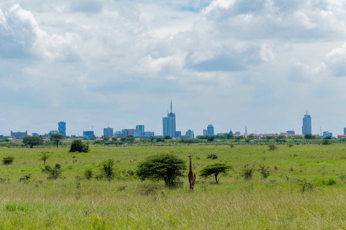 The skyline of Nairobi from Nairobi National Park
