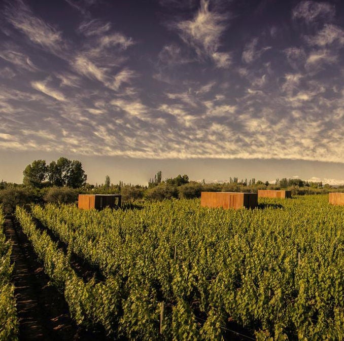 Luxurious vineyard resort featuring modern glass-walled rooms with private terraces overlooking snow-capped Andes mountains at sunset