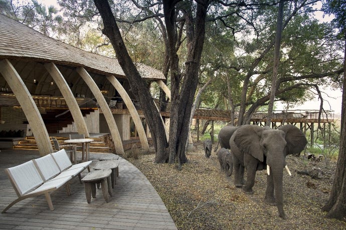 &Beyond Sandibe Okavango Safari Lodge, where you won't have to leave the resort for exceptional game viewing