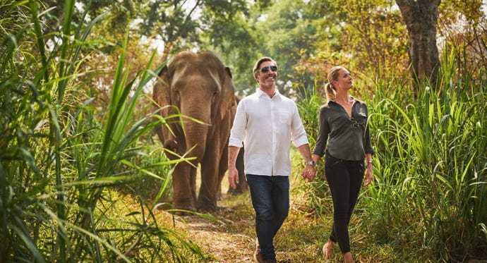 Walking with elephants
