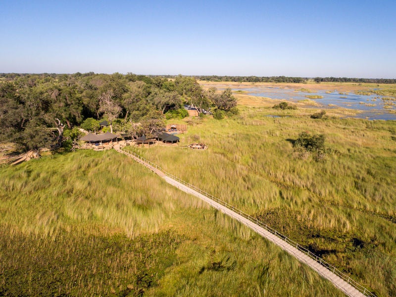 Elevated luxury safari tent with wooden deck overlooking flooded Okavango Delta grasslands at sunset, surrounded by palm trees