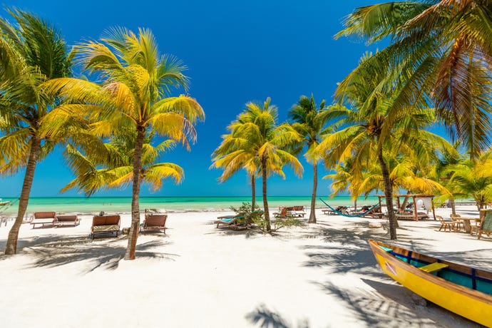 A tropical beach scenset
