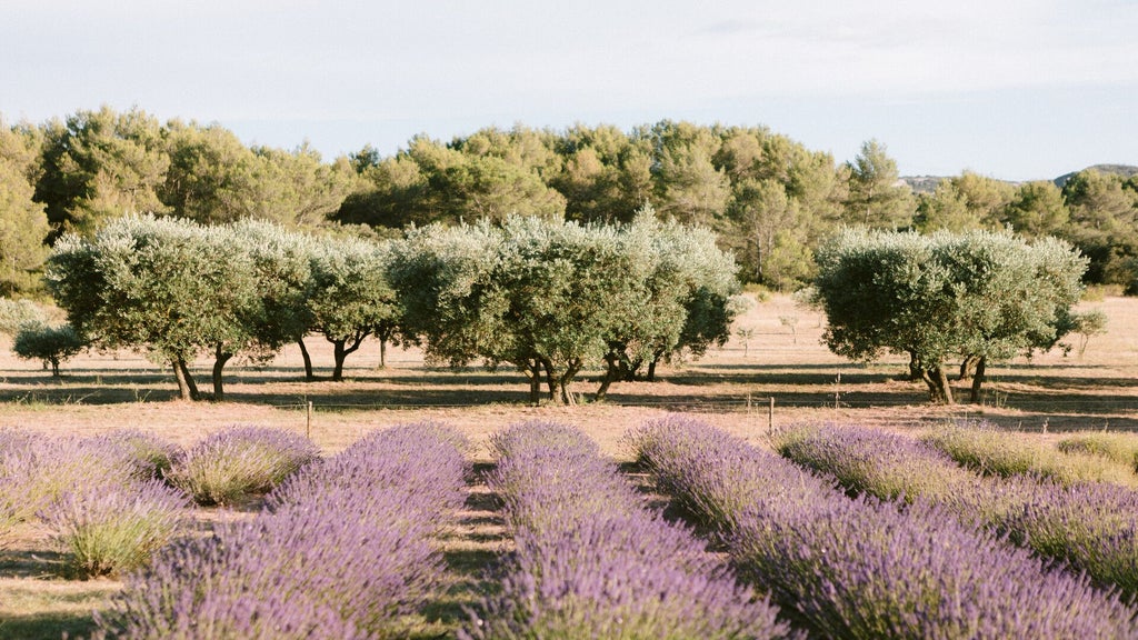 Elegant French countryside hotel with manicured rose gardens, stone facade, and lavender-lined pathway under soft golden sunset light