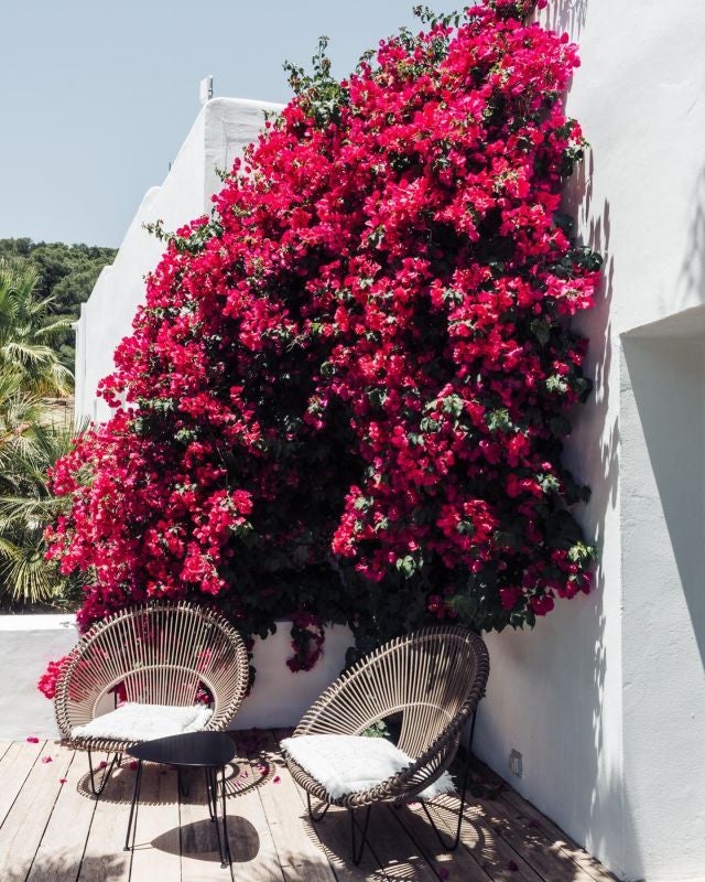 Luxurious white minimalist boutique hotel with clean lines, infinity pool overlooking azure Mediterranean landscape at scenset in Ibiza, Spain