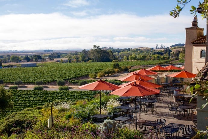 Sonoma wineries
