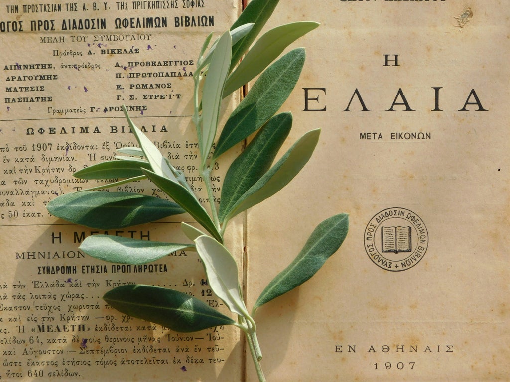 Extra virgin olive oil being poured into a rustic ceramic tasting cup, with sunlit Greek olive grove and traditional stone farmhouse in soft-focus background.