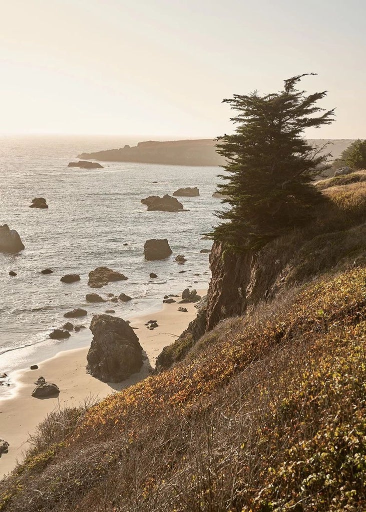 Luxurious coastal lodge nestled among cypress trees, featuring rustic wood exterior, panoramic ocean view, and elegant Pacific Northwest architectural design.