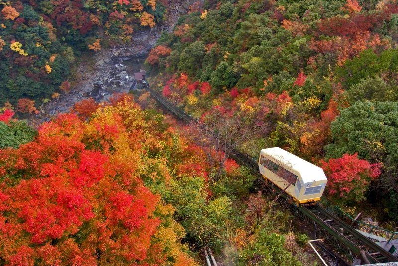 Traditional Japanese onsen hotel perched on mountainside, with outdoor hot spring bath overlooking misty Iya Valley's forested slopes